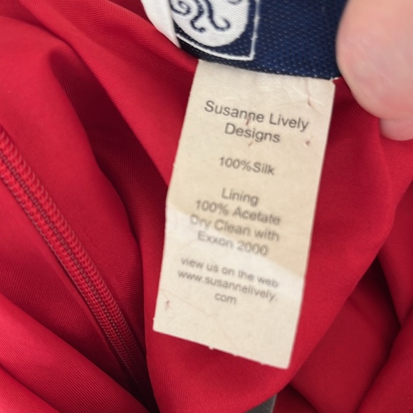 100% Silk Susanne Lively Designs Long Dress - Size 8 - Picture 5 of 6